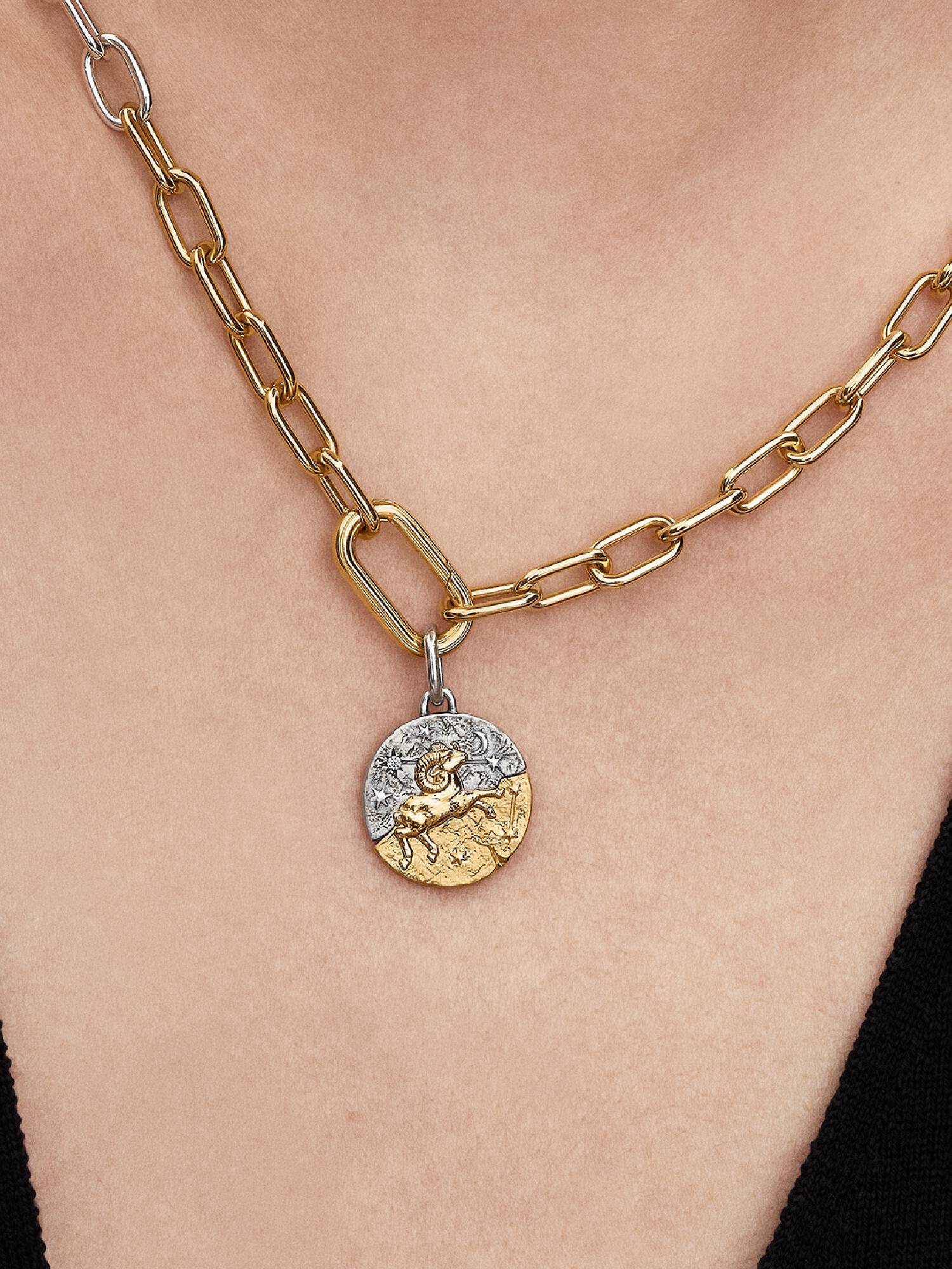 Aries Zodiac Medallion Charm