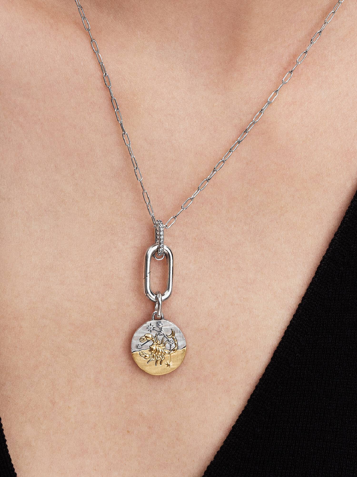 Scorpio Zodiac Medallion Charm