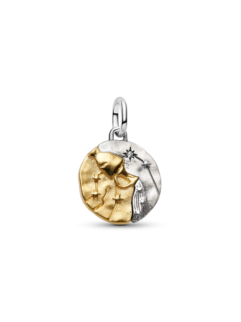 Aquarius Zodiac Medallion Charm