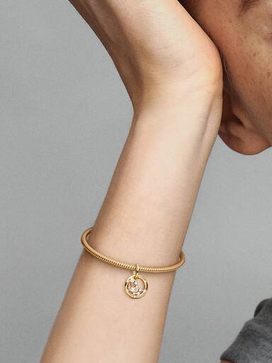 Aquarius Zodiac Dangle Charm