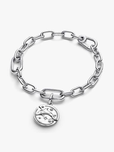 Dolphin Medallion Charm