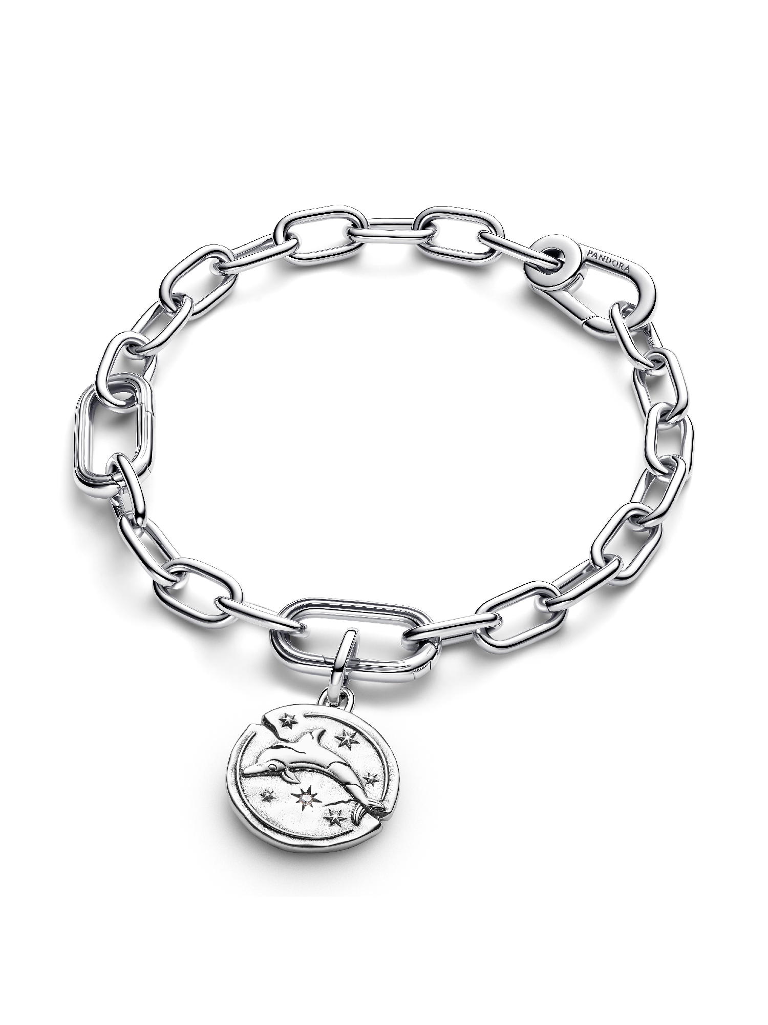 Dolphin Medallion Charm